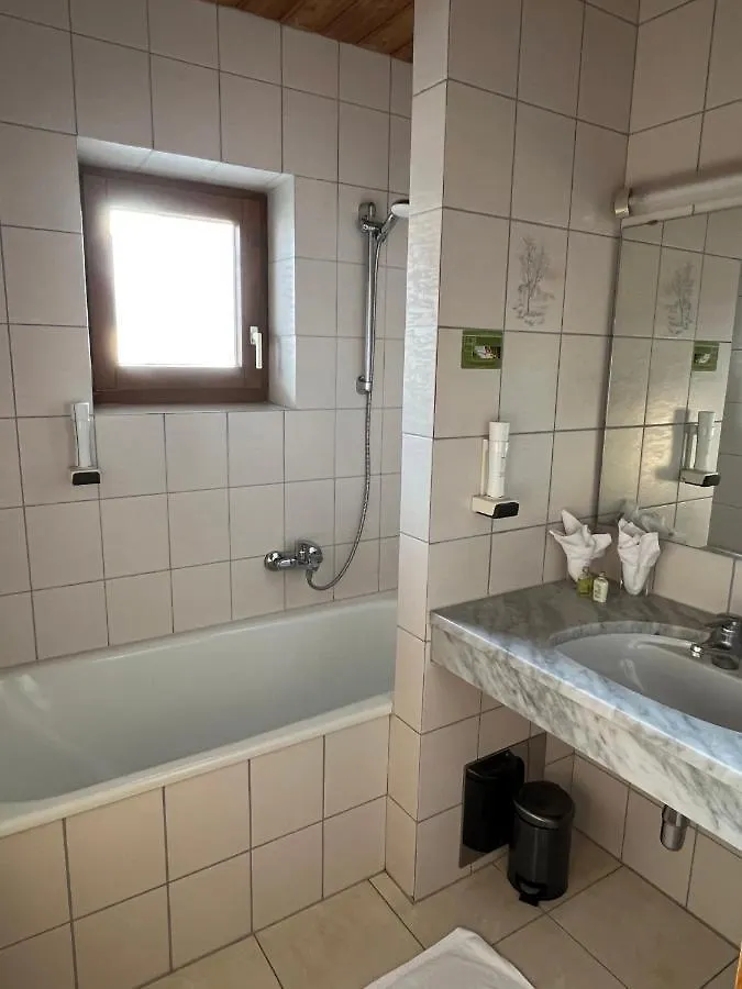 Stammhaus Im Hotel Alpine Palace