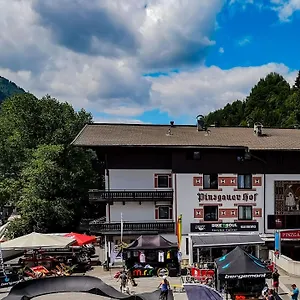 Hotel Pinzgauerhof & Bike - Inclusive Evening Dinner